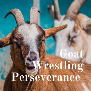 Goat Wrestling Perseverance