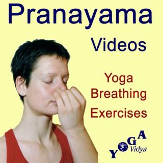 Pranayama - Breathing Exercises für new Energy - Yoga Vidya Videos