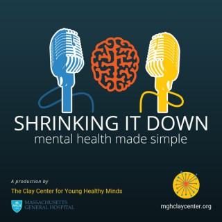 Shrinking It Down: Mental Health Made Simple