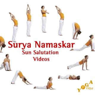 Surya Namaskar Sun Salutation - Variations for Beginners and Advanced - Yoga Vidya Video