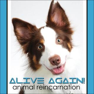 Alive Again - Pet Reincarnation on Pet Life Radio (PetLifeRadio.com)
