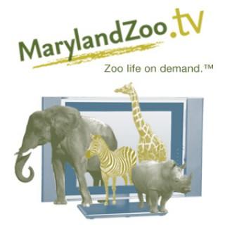 MarylandZoo.TV