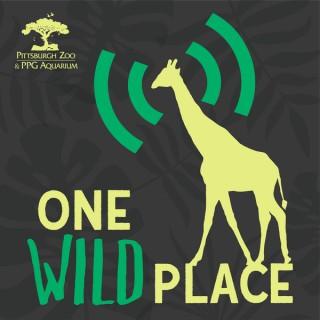One Wild Place