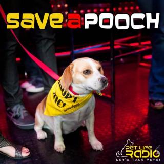 Save A Pooch - Rescue Dog Welfare on Pet Life Radio (PetLifeRadio.com)