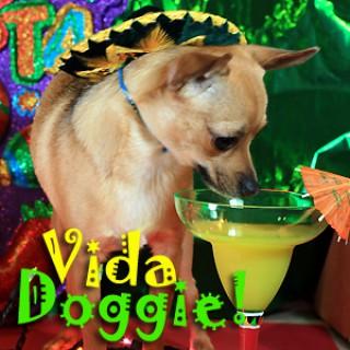 Vida Doggie - Start you and your dog’s day with a little Latin Flavor.    It’s one Spicy show - Pets & Animals on Pet Lif