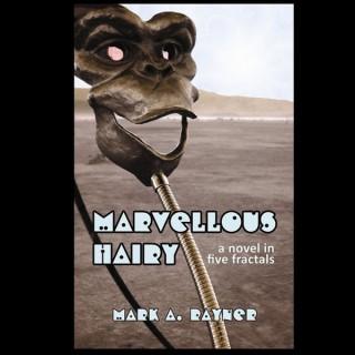 Marvellous Hairy - a novel in five fractals -