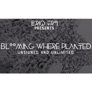 Blooming Where Planted - Unsigned & Unlimited