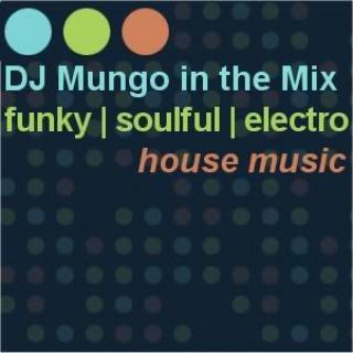 DJ Mungo in the Mix
