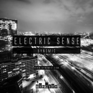 Electric Sense
