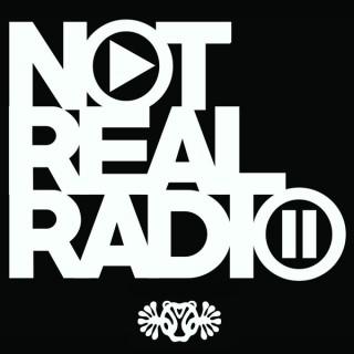 Not Real Radio