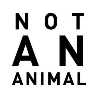 Podcast - NOT AN ANIMAL