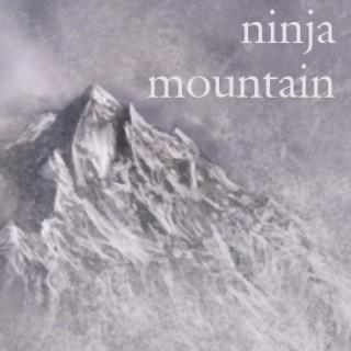 Ninja Mountain Scrolls
