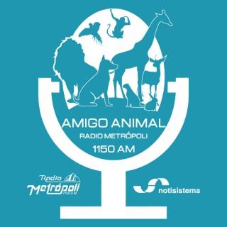 Amigo Animal - Notisistema