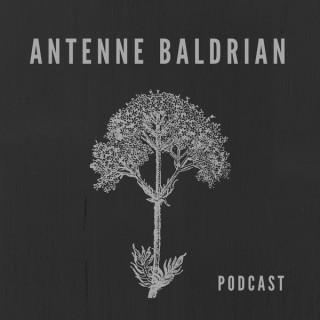 Antenne Baldrian