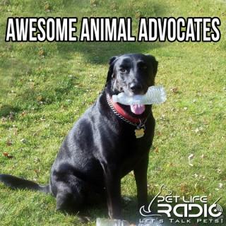 Awesome Advocates- For Dogs, Cats, & other Pets on Pet Life Radio (PetLifeRadio.com)