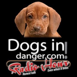 DogsInDanger Radio Hour