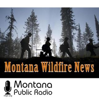 Montana Wildfire News