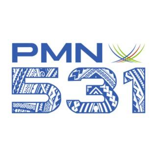 PMN 531