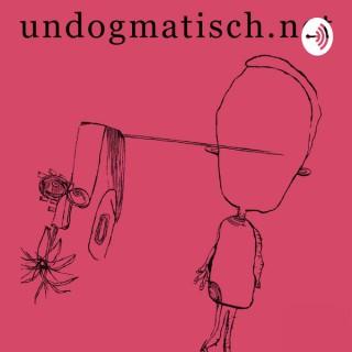 Politik verstehen - der Podcast von Undogmatisch