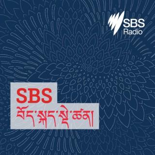 SBS Tibetan - SBS ???????????????