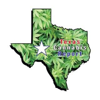 Texas Cannabis Report