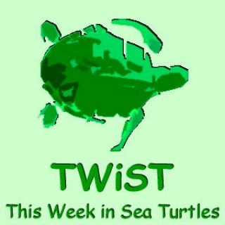 This Week in Sea Turtles