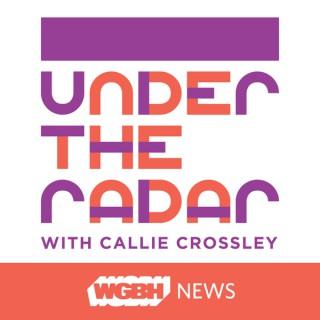 Under the Radar with Callie Crossley