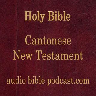 ABP - Cantonese Bible - New Testament - January Start