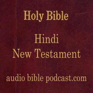 ABP - Hindi Bible - New Testament - January Start