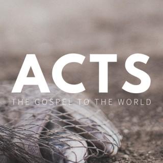 ACTS: The Gospel to the World