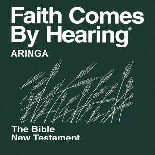 Aringa Bible (Non-Dramatized)