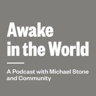 Awake in the World Podcast