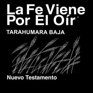 Baja Tarahumara Biblia (no dramatizada) - Tarahumara Baja Bible (non-dramatized)