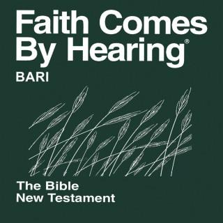 Bari Bible (Non-Dramatized)