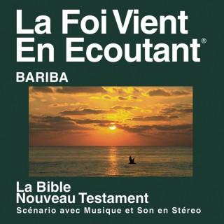 Bariba Bible (Dramatized)