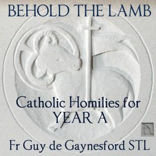 Behold the Lamb – Catholic Homilies for Year A – ST PAUL REPOSITORY