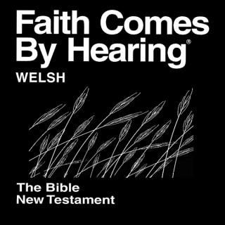 Beibl cymraeg (nad ydynt yn dramateiddio) - Welsh Bible  (Non-Dramatized)