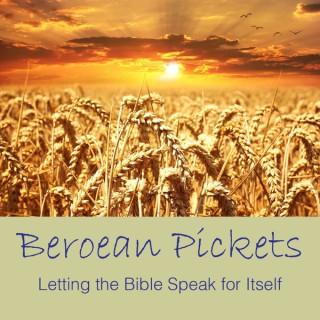 Beroean Pickets – JW.org Reviewer