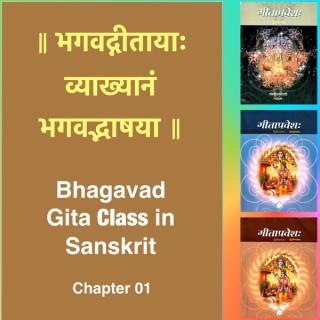 Bhagavad Gita Class (Ch1) in Sanskrit by Dr. K.N. Padmakumar (Samskrita Bharati)