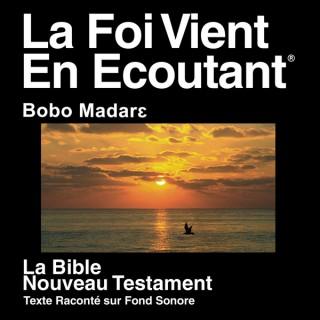 Bobo Madare Nord Bible (non-dramatisé)  - Bobo Madare Northern Bible (Non-Dramatized)