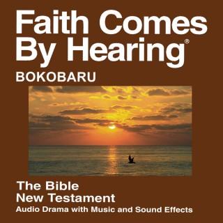 Bokobaru Bible (Dramatized)