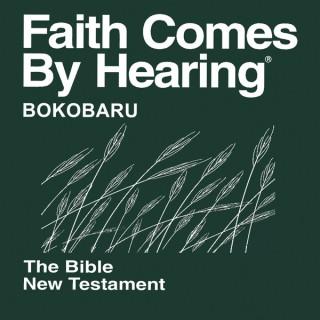 Bokobaru Bible (Non-Dramatized)