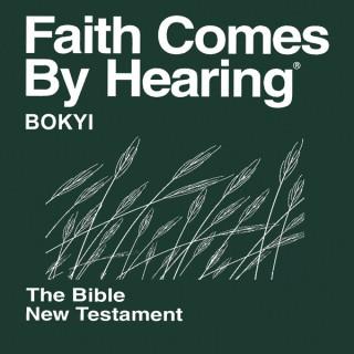Bokyi Bible (Non-Dramatized)