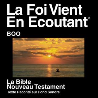 Boo (Boko) Bible