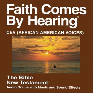 CEV Bible - Contemporary English (African-American Narrators)  Version
