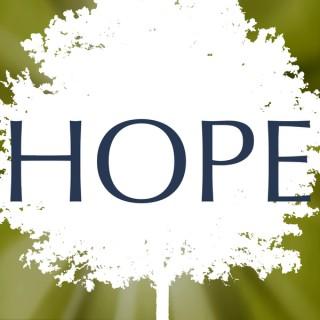 Connecting To Hope