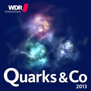 Quarks und Co 2013