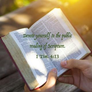 Devoted to Scripture