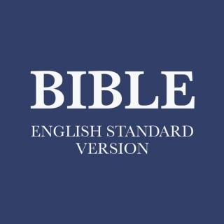 ESV New Testament (Non Dramatized) - English Standard Version Bible