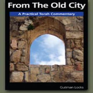 From The Old City by Gutman Locks